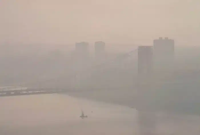 Was ist Elektrosmog? Image